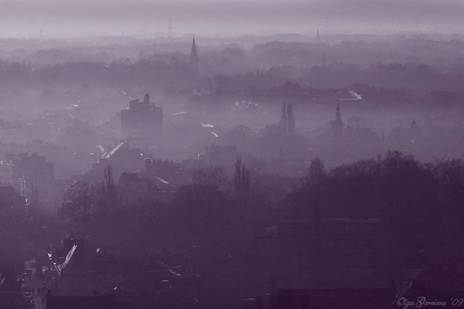 сиреневый туман..... Автор: Ольга Горелова фото, брюгге, европа, бельгия, туман, Ольга Горелова