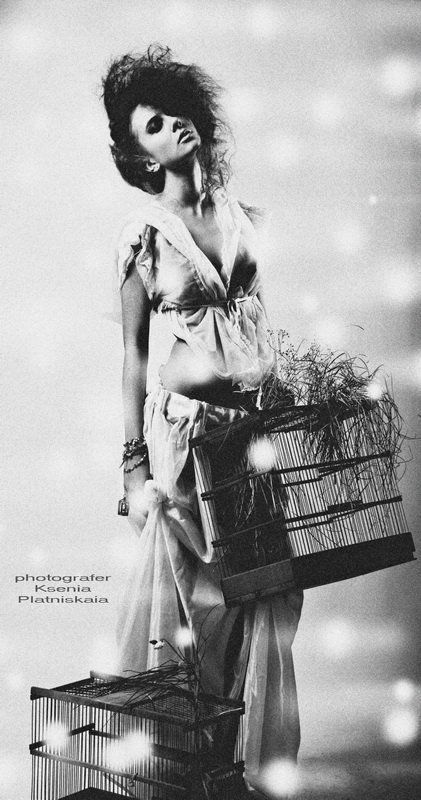 The poultry-maid......photo preview