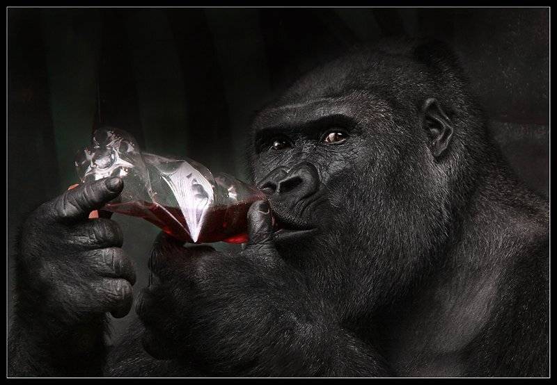 Пьяница. Автор: teamS , teamS