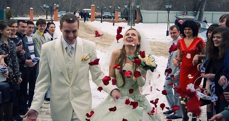 Розовый дождьphoto preview