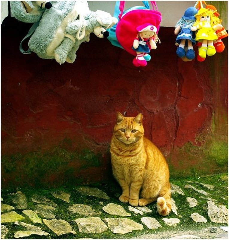 Igrushkaphoto preview