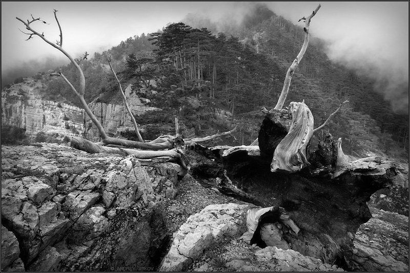 крым, пейзаж * * * фото превью