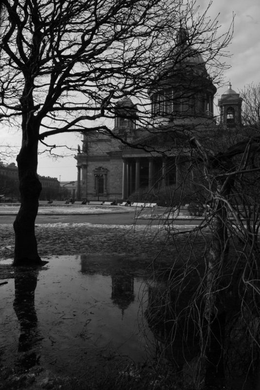 Весенний образ.photo preview