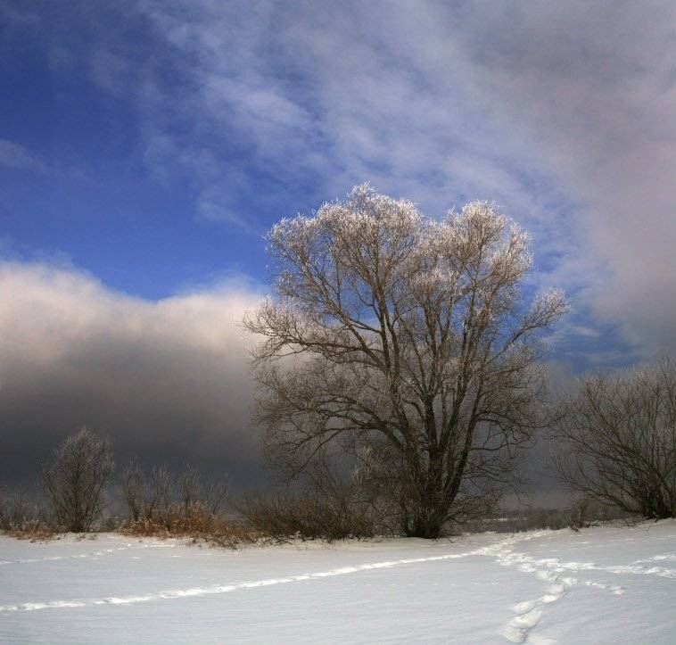, Эдуард VTORNIK  Николаев