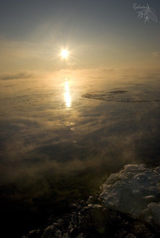 волга, вода, лед, туман, солнце, утро, мороз Туманная водаphoto preview