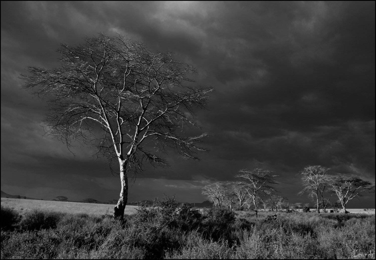 танзания, Leonid Shtishevskiy