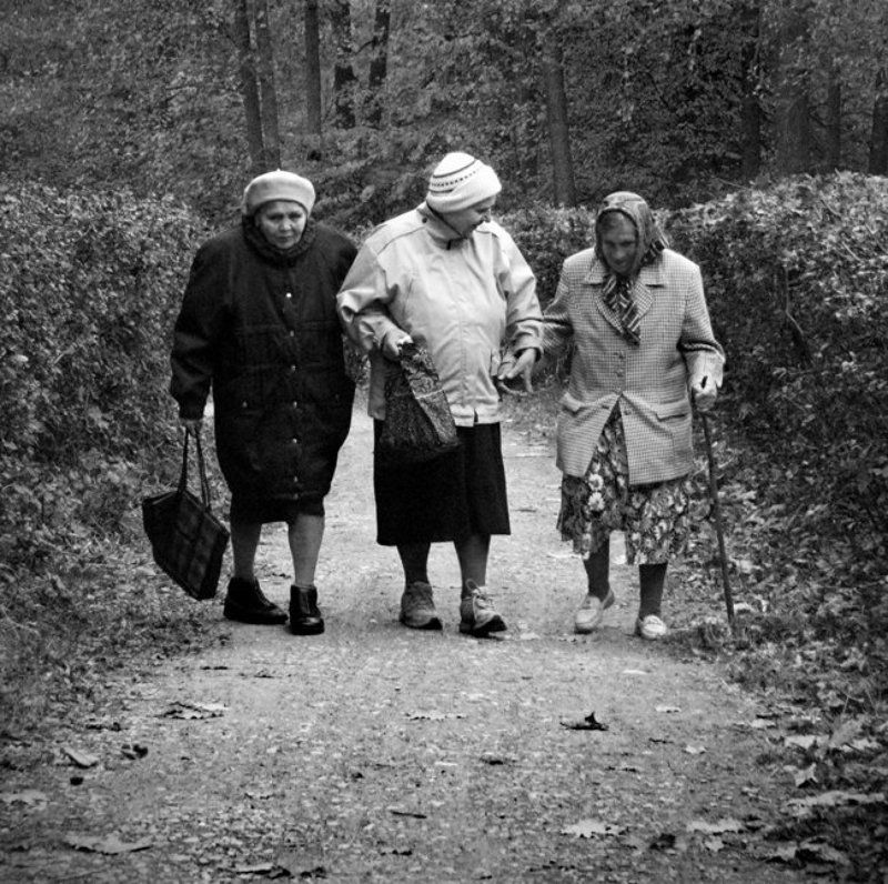 парк, осень,бабушки-хохотушки Вместе весело шагать..!photo preview