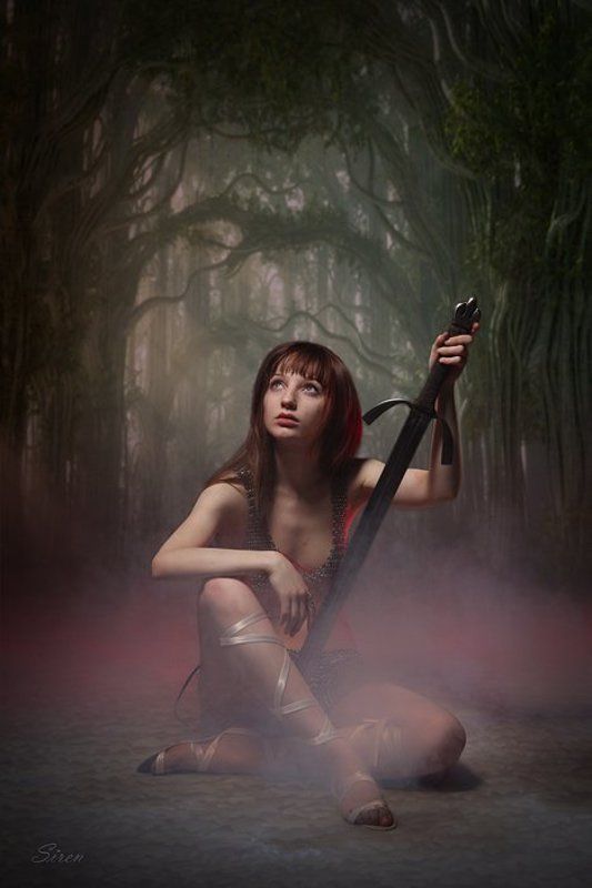 Утро в лесуphoto preview