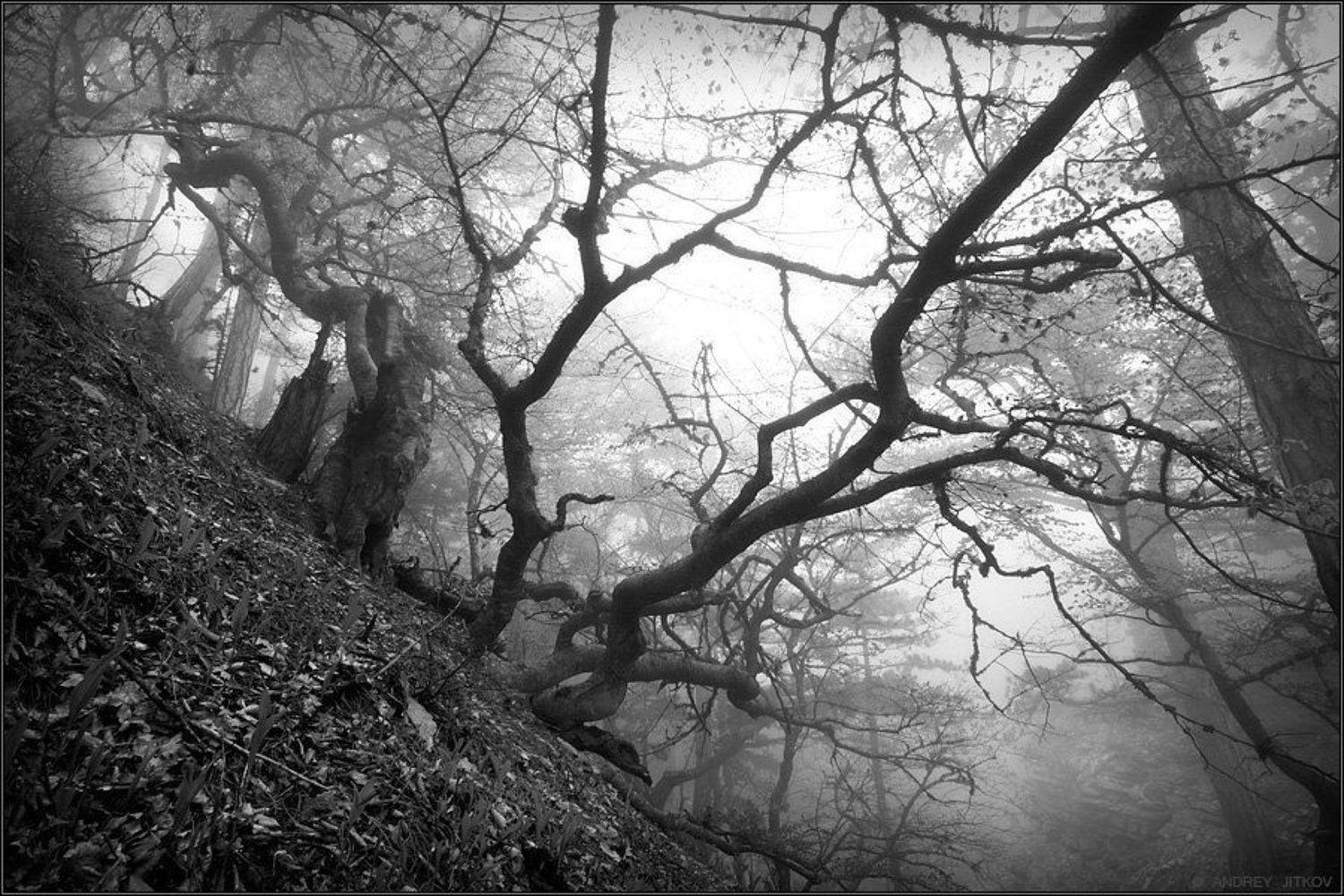 , Андрей Житков