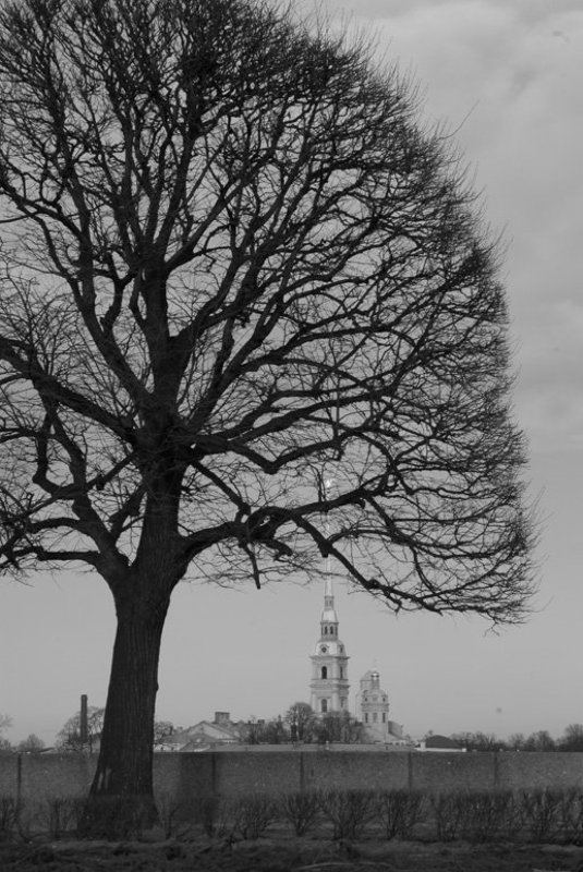 Петербургский силуэт.photo preview