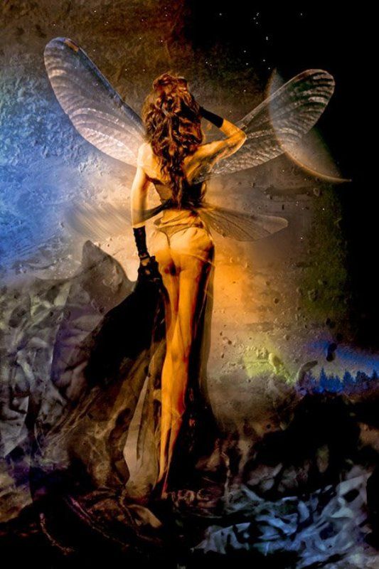 из жизни стрекозphoto preview