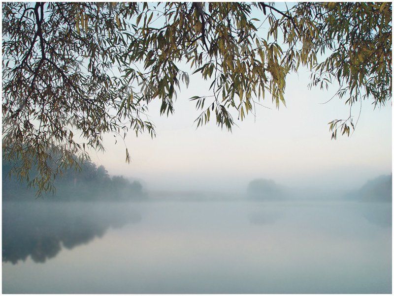 суханово, парк, усадьба, пруд, утро Утро. Сухановский прудphoto preview