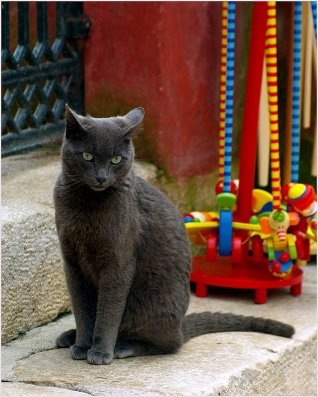 Igrushka 2photo preview