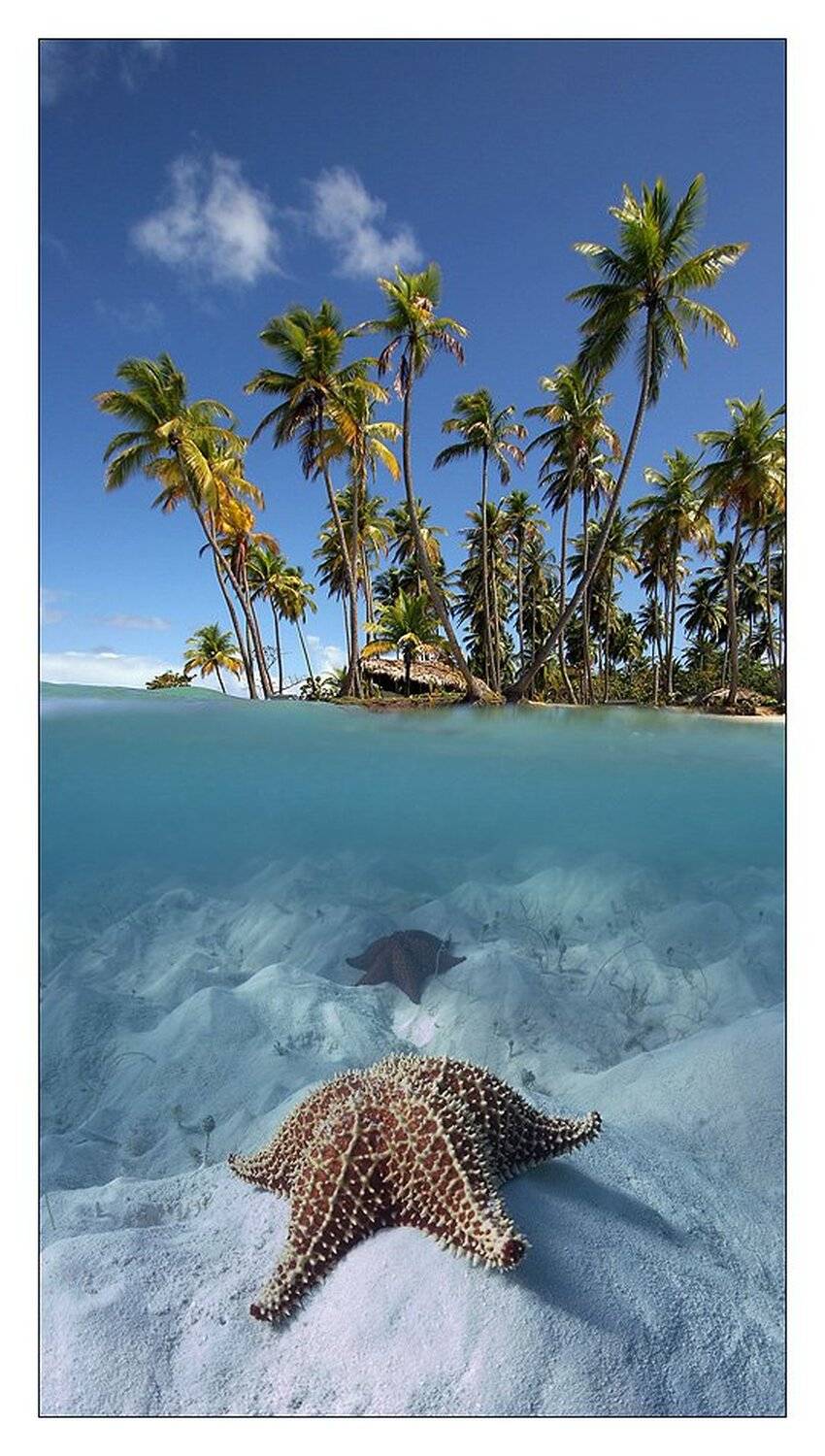 море, звезды,пляж,сплит,пальмы,волны, Nx