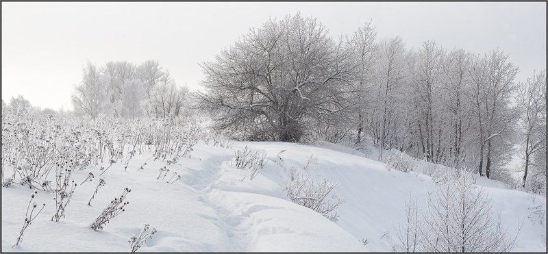февральский рисунокphoto preview