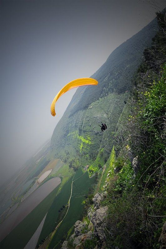 Полёт над веснойphoto preview