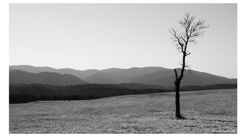 So alonephoto preview