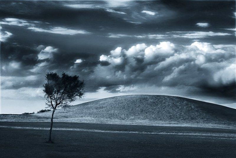 Аlonenessphoto preview