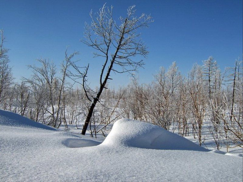 мартphoto preview