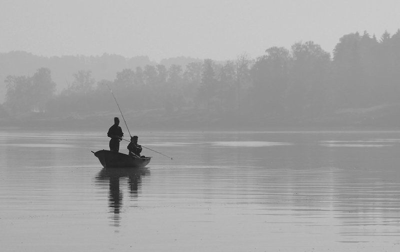 В туманеphoto preview