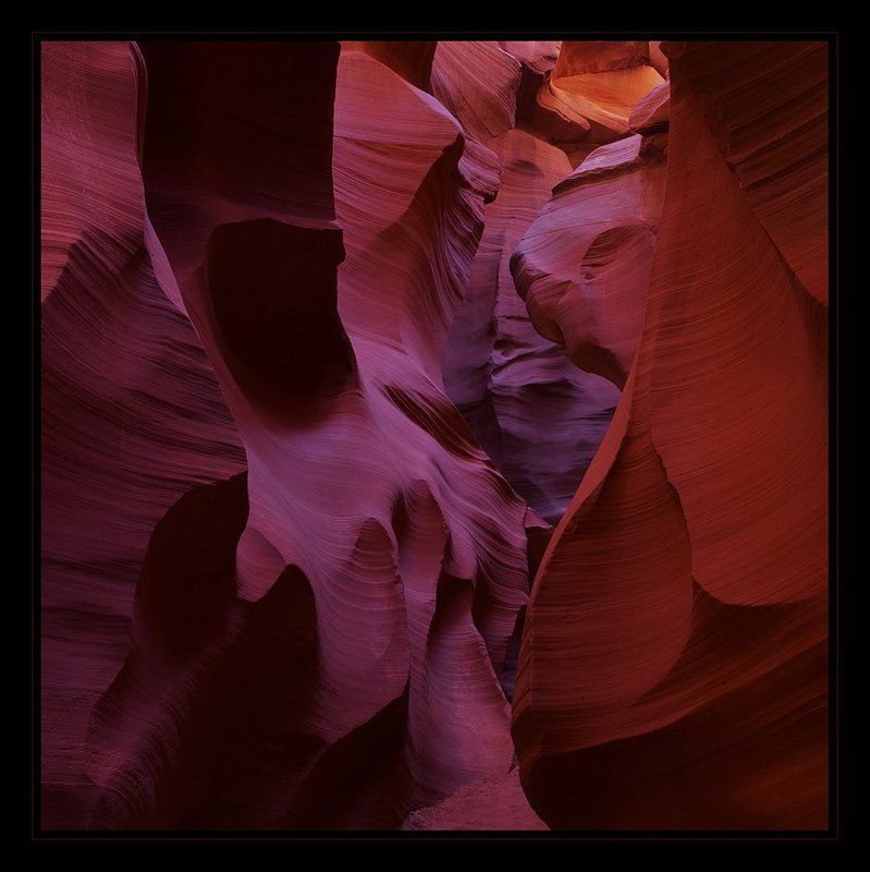 Магия цветаphoto preview