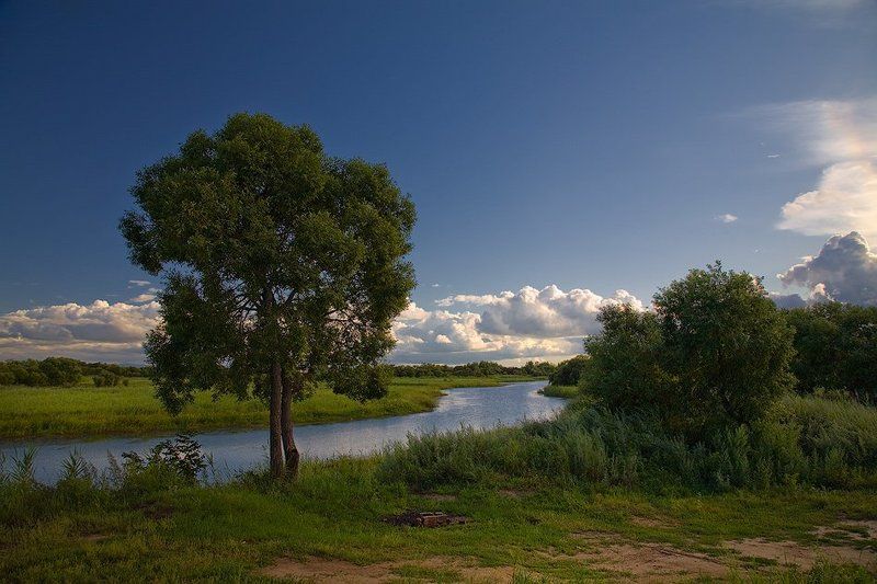 Место для пикникаphoto preview