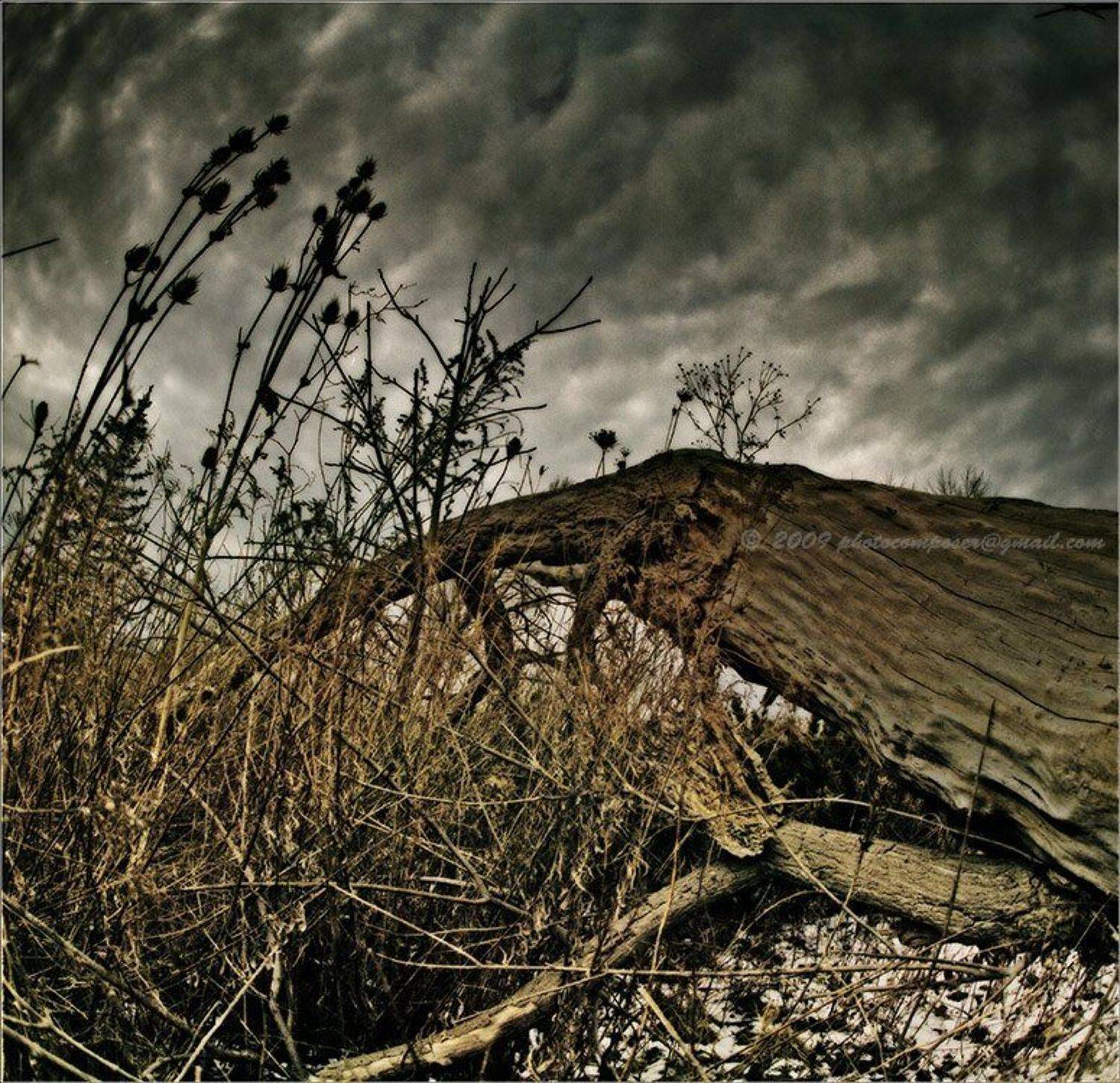 пейзаж, pilgrim, пленка, средний формат, 6х6, киев-60, зодиак-8, kiev-60, zodiak-8, Pilgrim