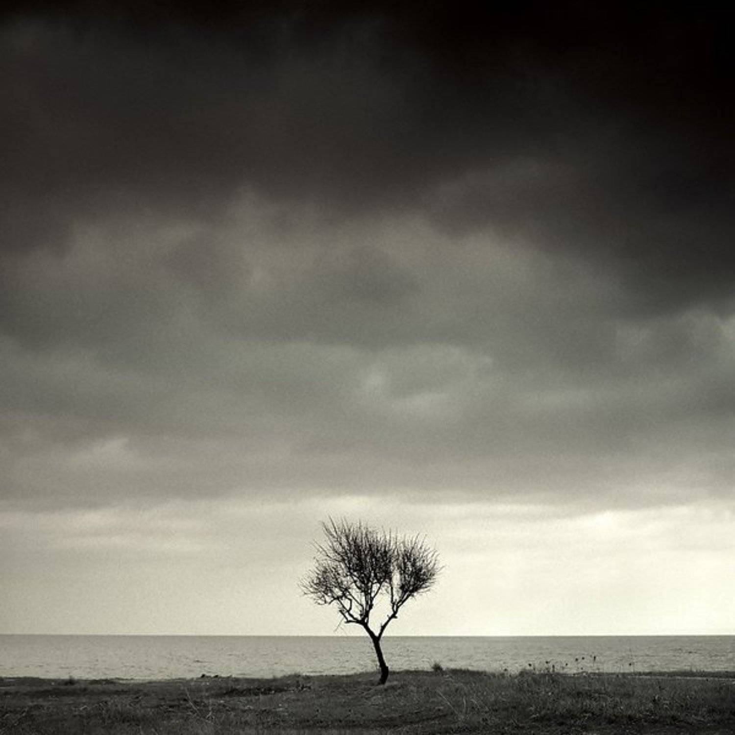 Одиночество. Автор: Токарь Дмитрий , Токарь Дмитрий