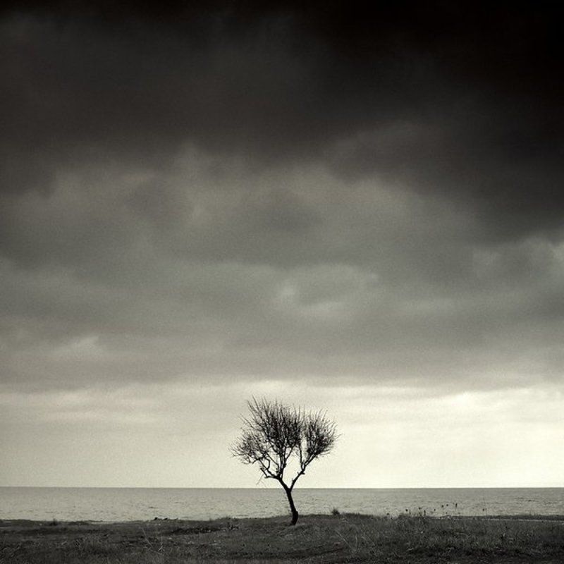 Одиночествоphoto preview