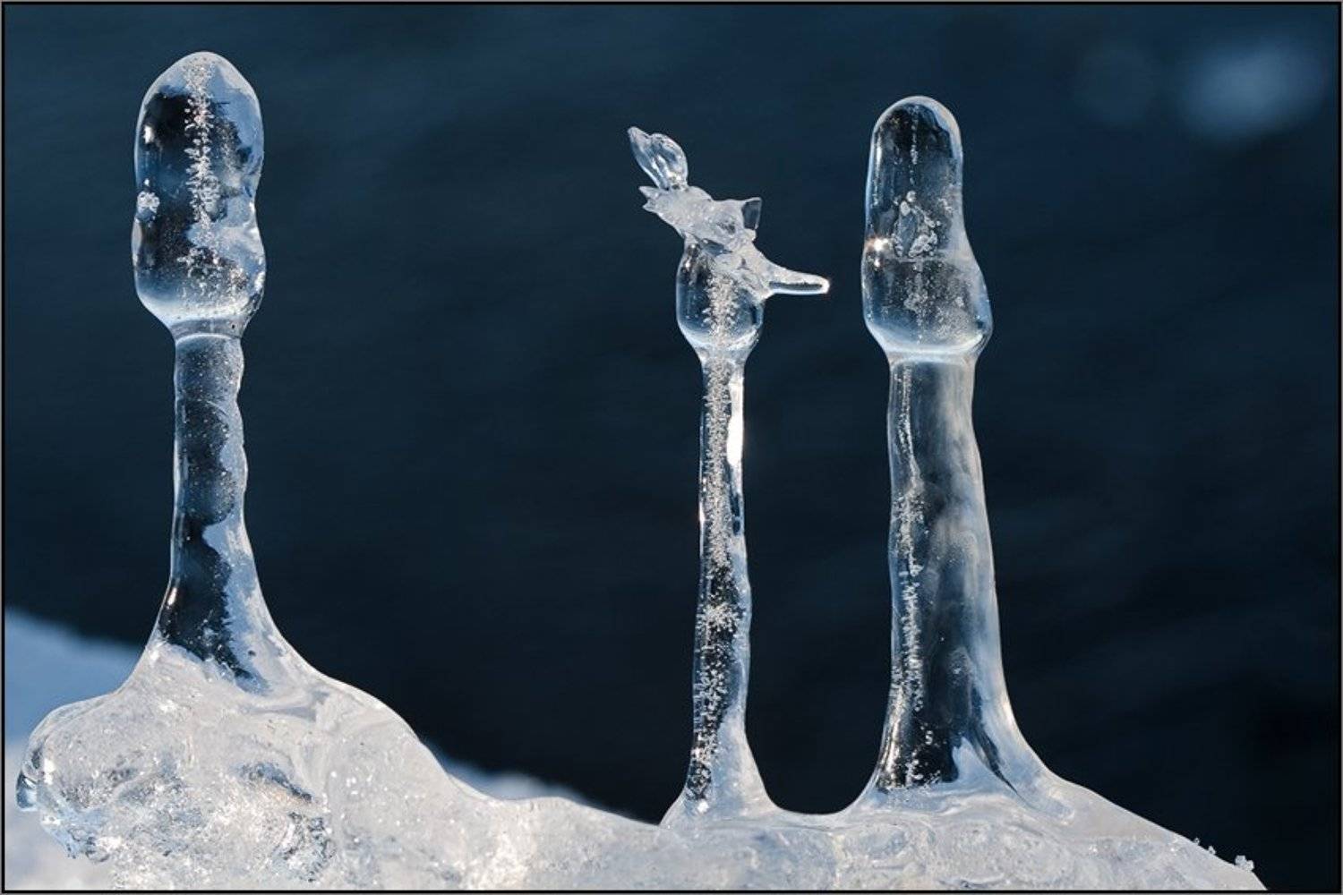 третий лишний. Автор: Basil G сосульки, Basil G