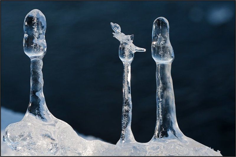 сосульки третий лишнийphoto preview