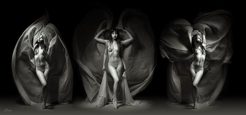 Триптихphoto preview