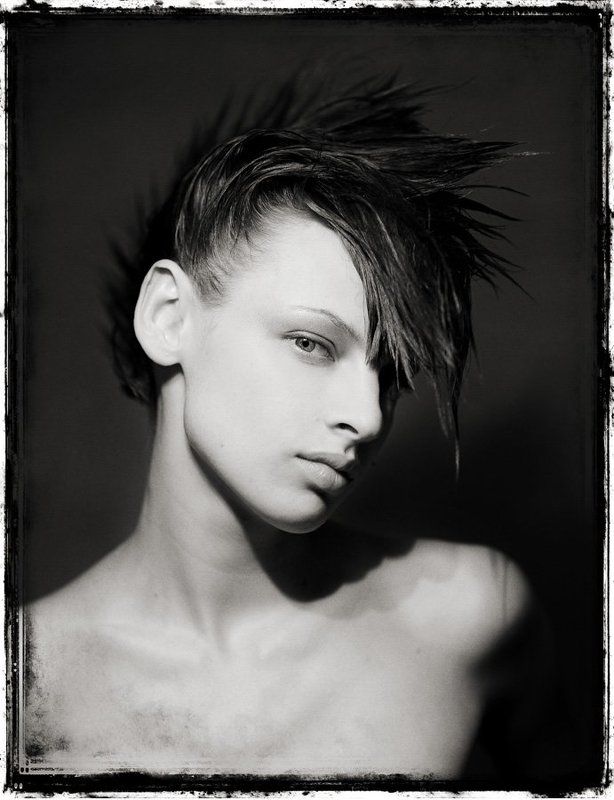 взгляд ***El gato pank***photo preview