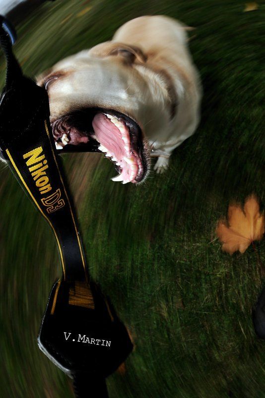 нет!, это мой d3!photo preview