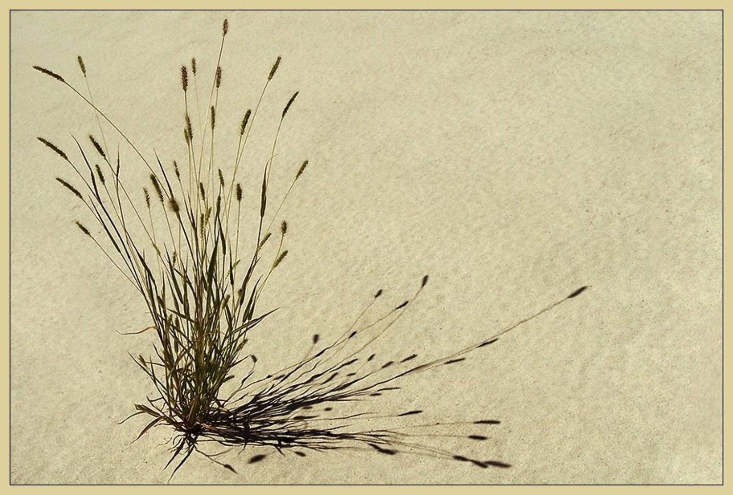 , Срибный Евгений