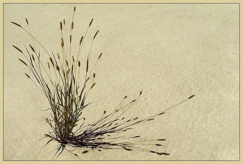 После полудняphoto preview