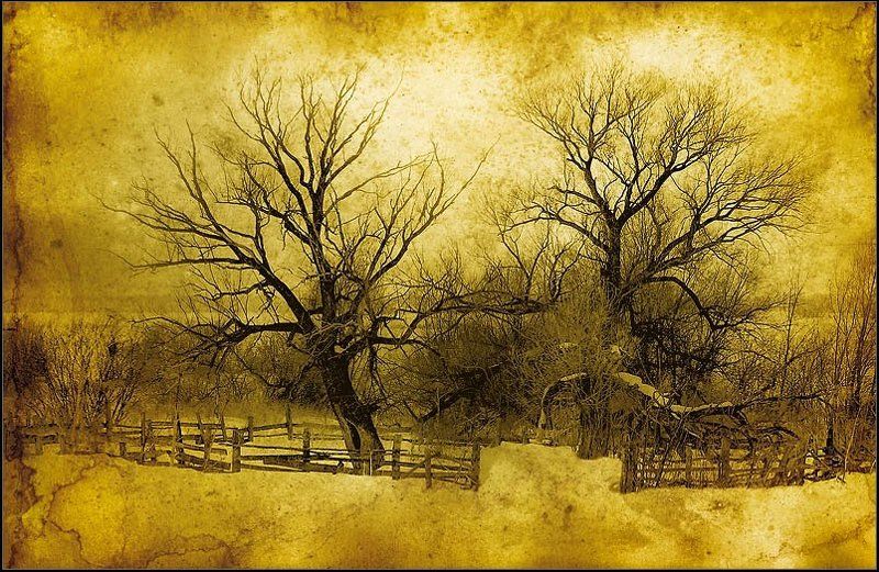 природа, графика ...photo preview