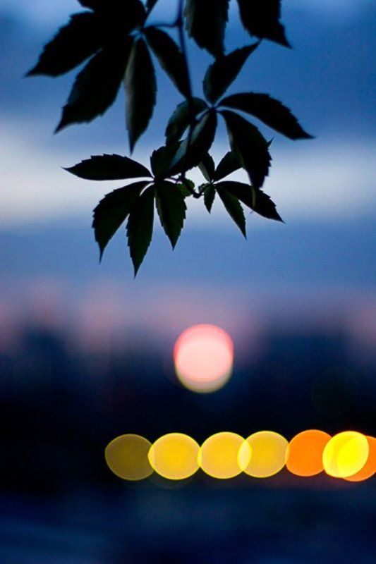 Апельсиновые фонарики.photo preview