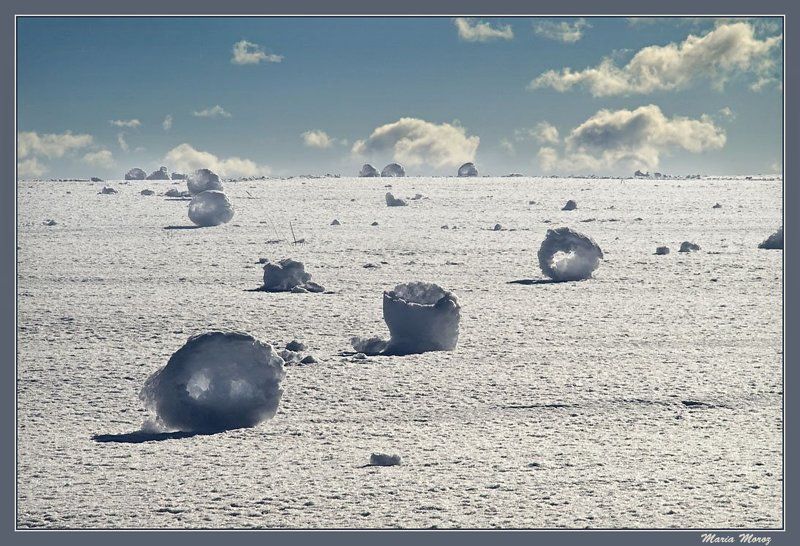 Перекати поле или снежные бубликиphoto preview