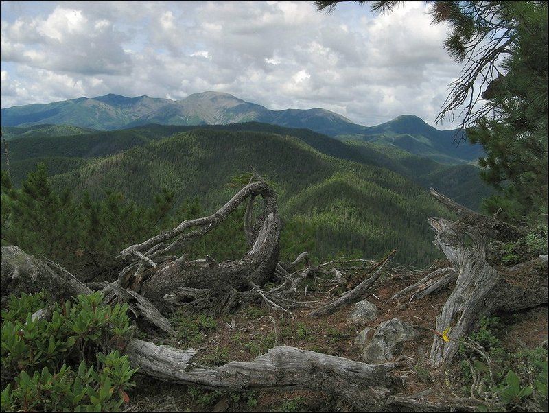 сихотэ_алинь Сихоте-Алиньphoto preview