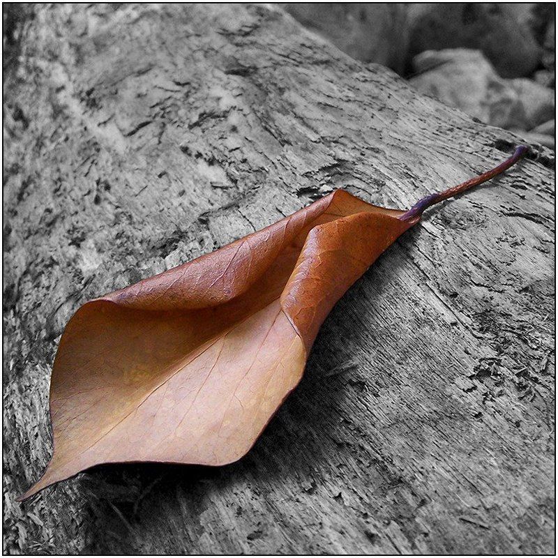 Настроениеphoto preview