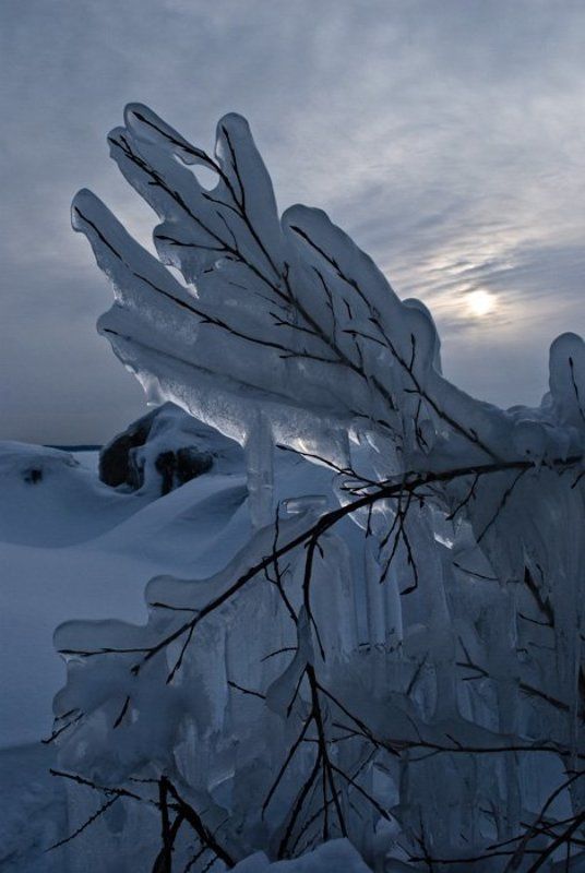 зима,обь photo preview