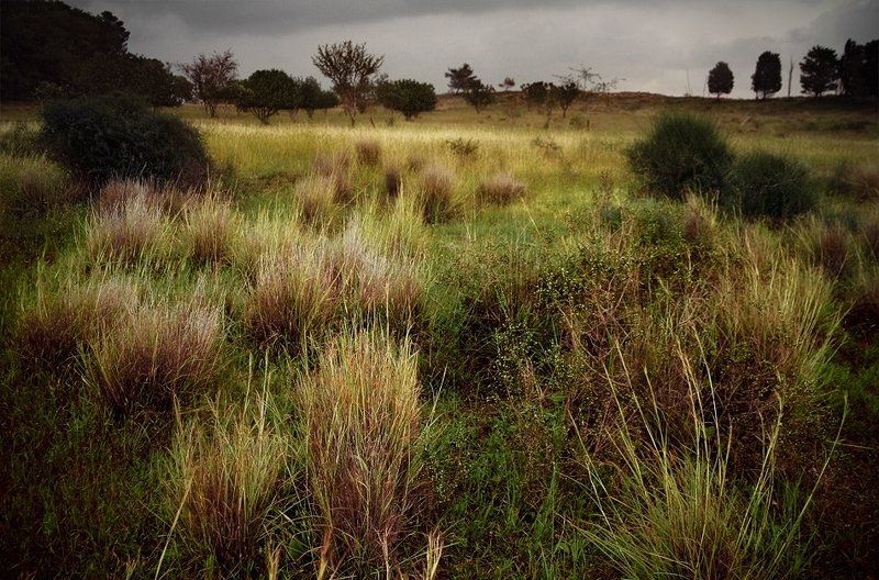 Непричёсанный февральphoto preview