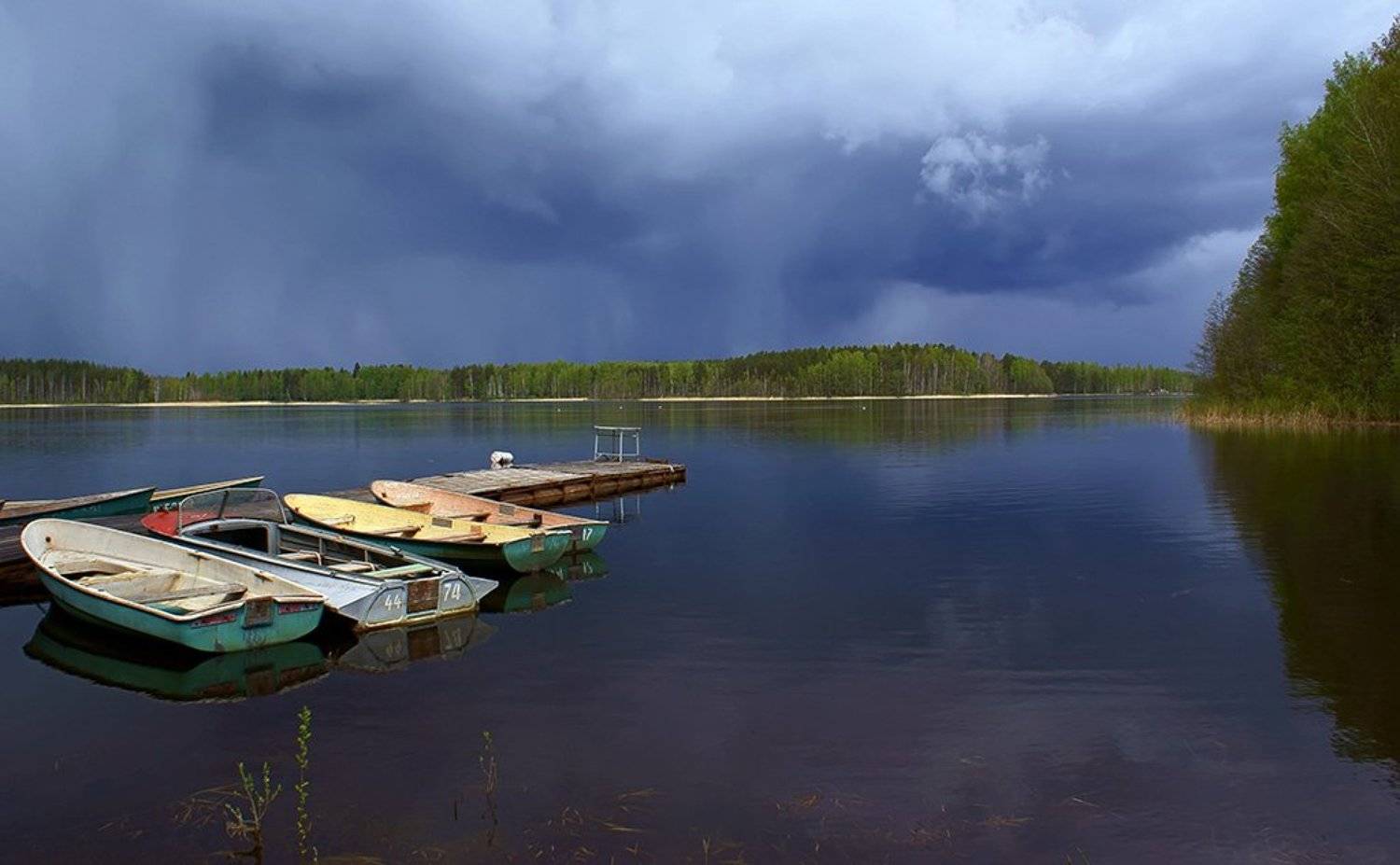 Перед бурей. Автор: Михаил Андриеску май, река, вуокса, пейзаж, буря, природа, Михаил Андриеску