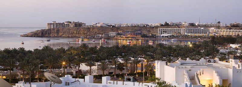 Шарм утраphoto preview