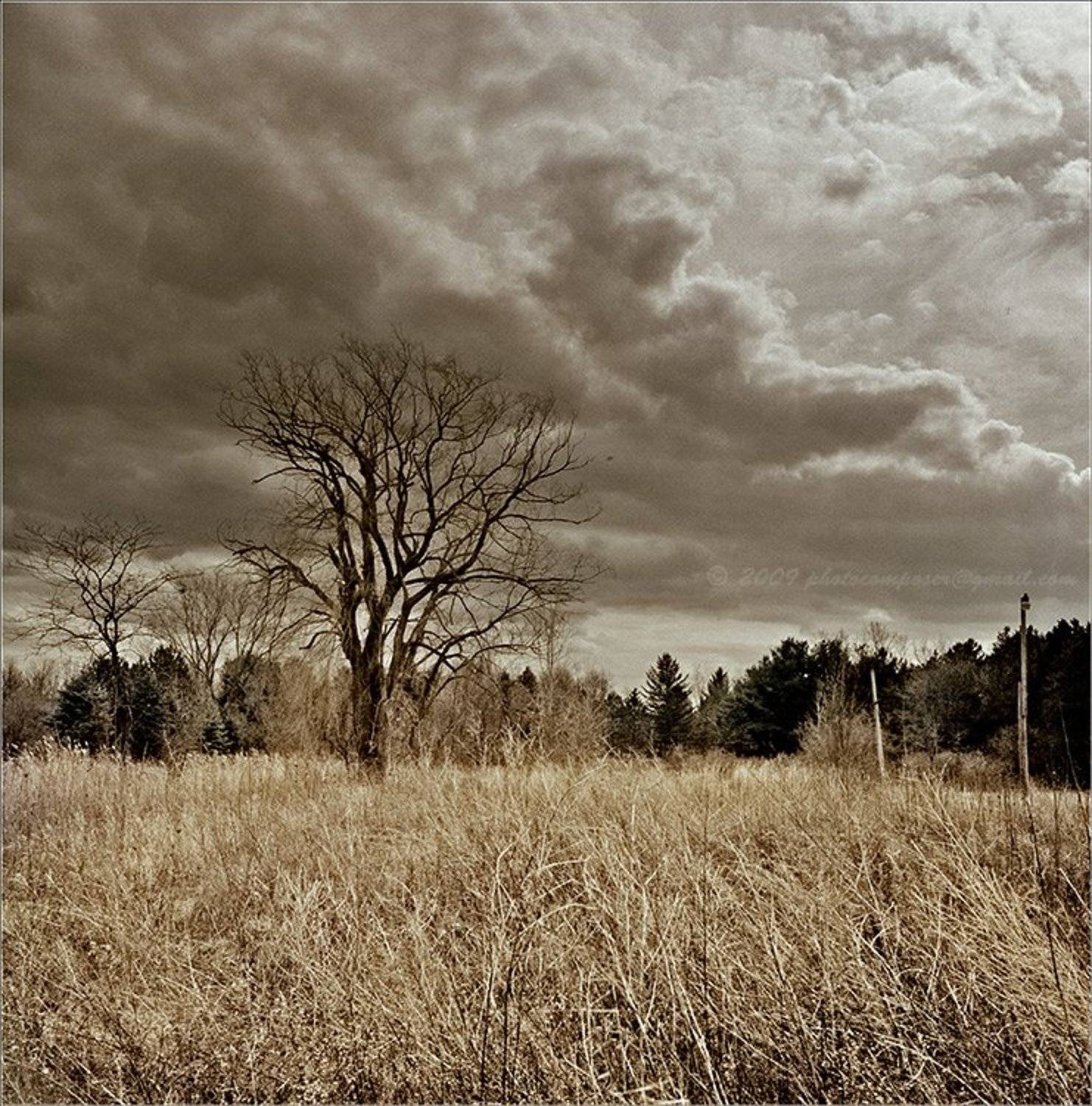 пейзаж, pilgrim, пленка, средний формат, 6х6, hasselblad 500c, distagon, Pilgrim