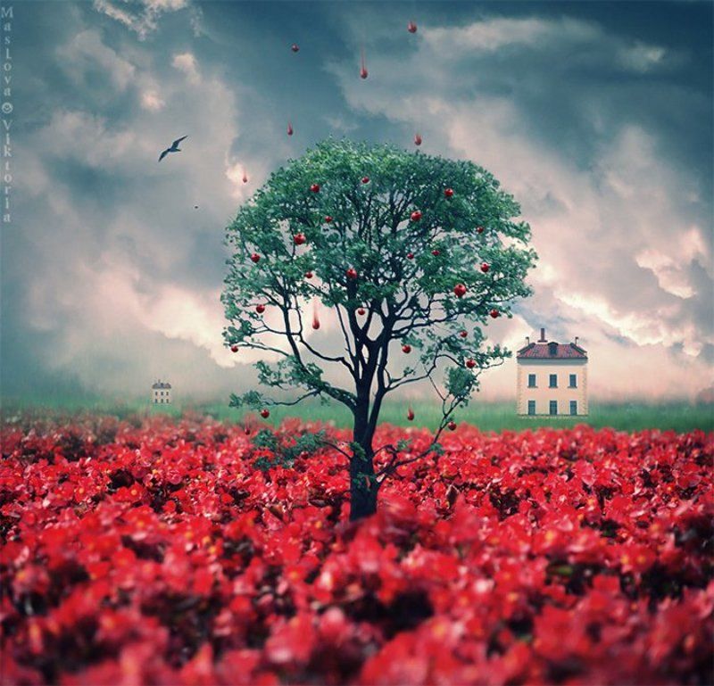 Яблочный дождьphoto preview