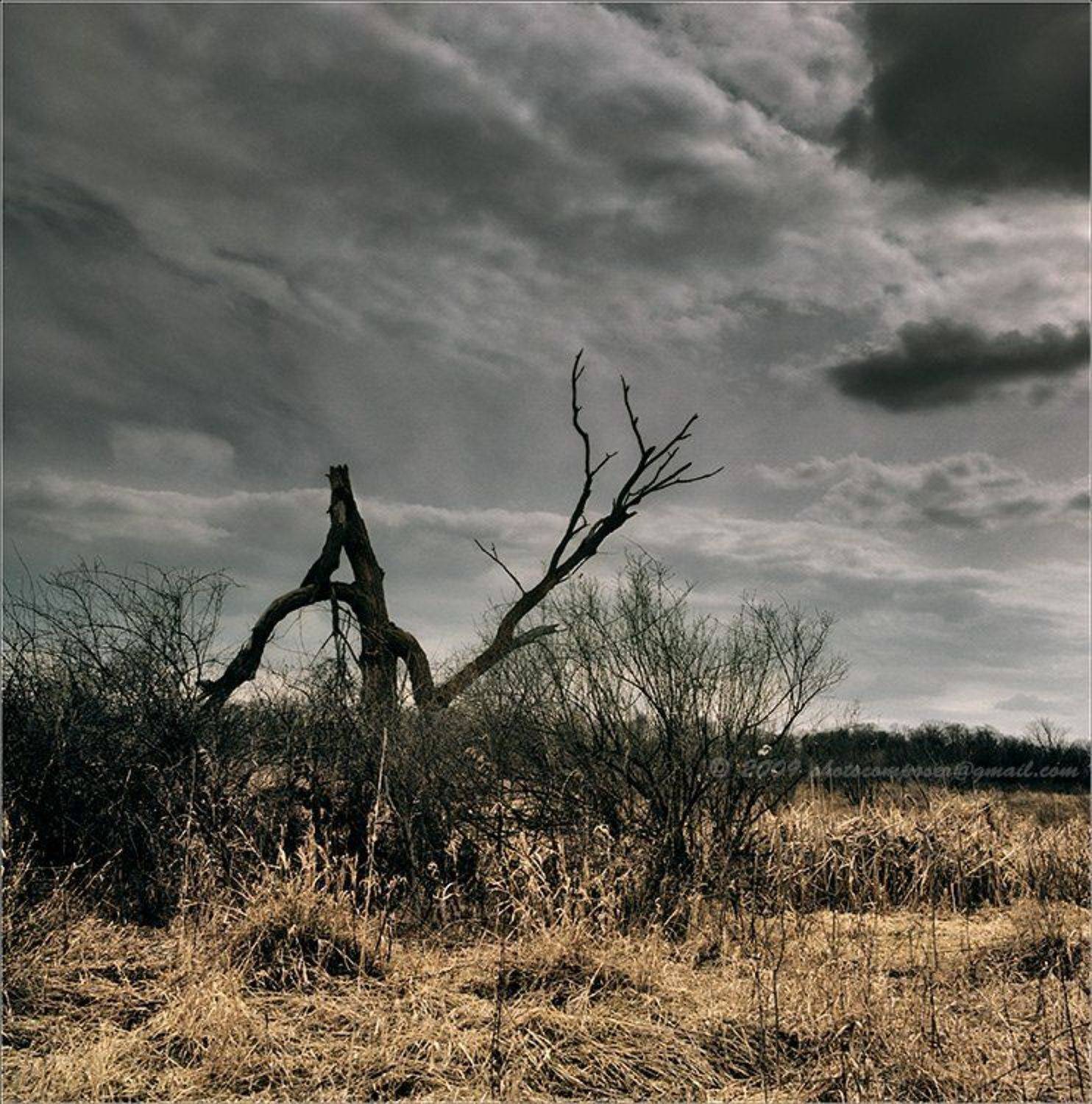 Дон-Кихот. Автор: Pilgrim пейзаж, pilgrim, пленка, средний формат, 6х6, hasselblad 500c, distagon, Pilgrim