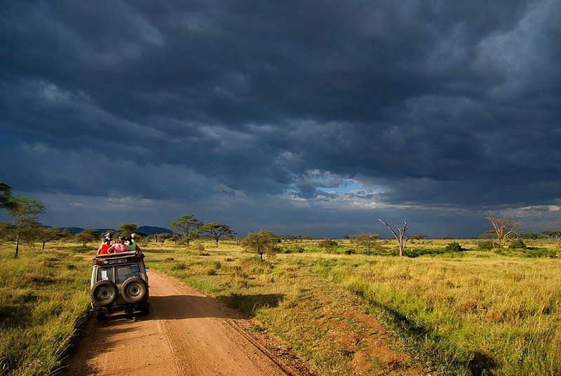 танзания, серенгети Ребят, может не поедем?photo preview