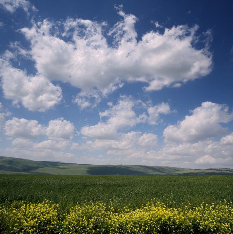 Парадphoto preview